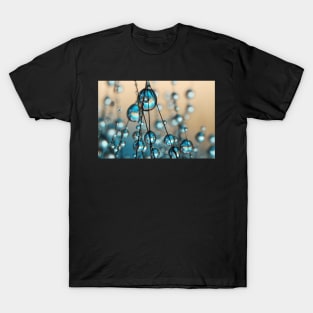 Crazy Grass Seed Drops II T-Shirt